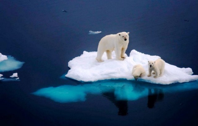 Подборка интересных и веселых фото