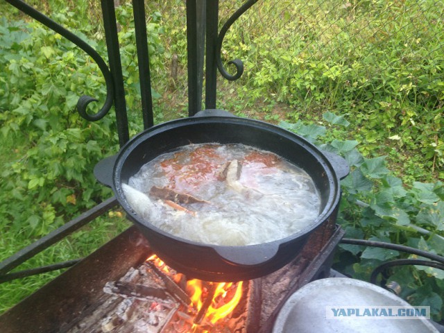 Мясная Солянка, нажористая!