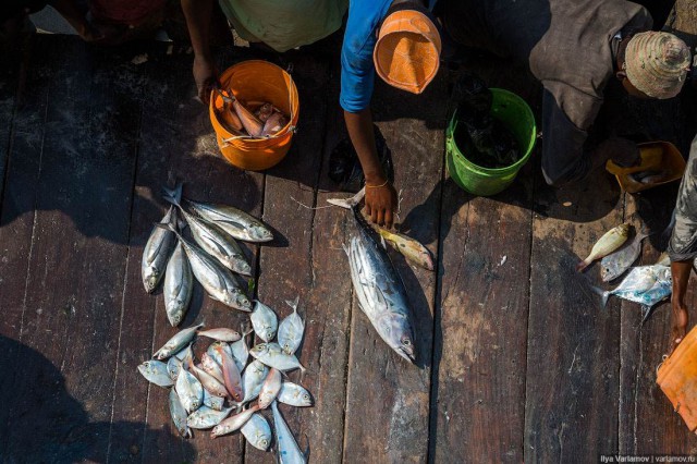 Рыбный рынок в Танзании