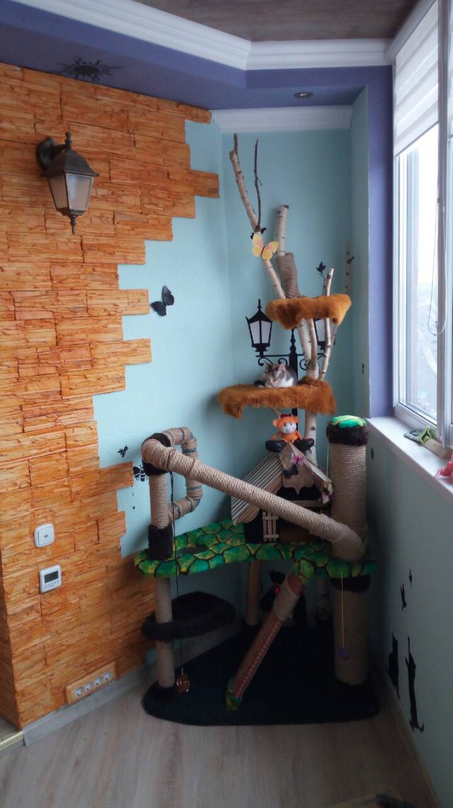 Коттедж своими руками, или про довольную котейку.