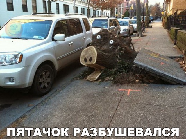 Подборка безудержного веселья