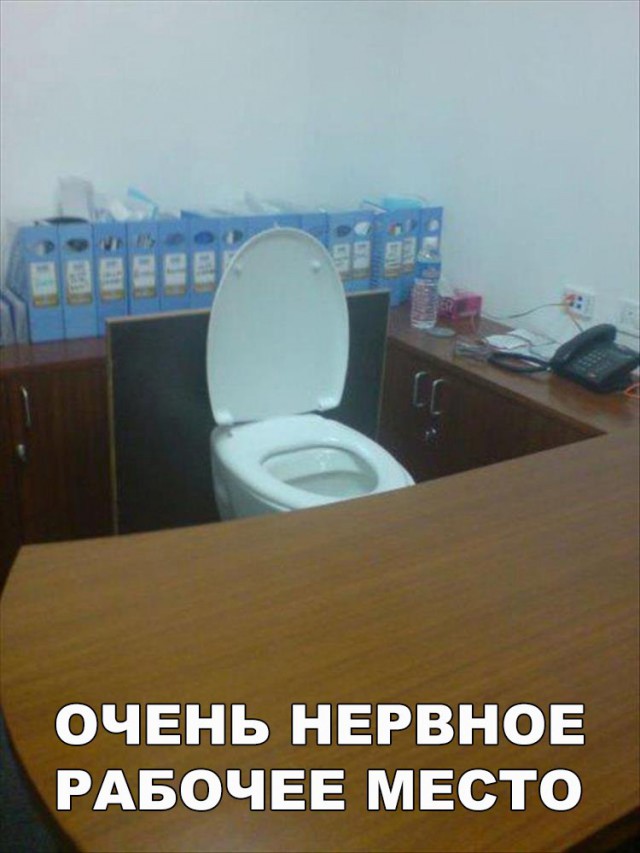 Подборка безудержного веселья