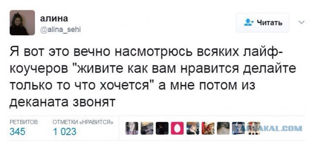 Деградации ЯПу от Креизи