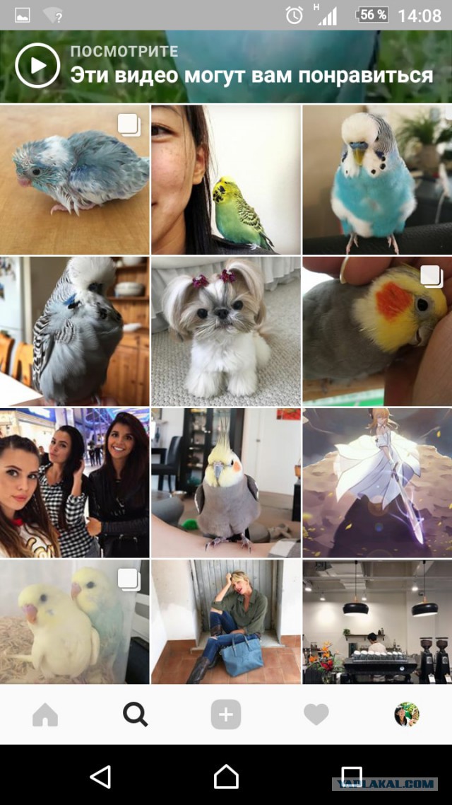 Жуткий аккаунт “Рынок шкур”, компрометирующий жизнь знаменитых девушек. Кто стоит за этим?