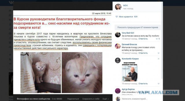Благотворители из Курска изнасиловали волонтера из-за умершего кота