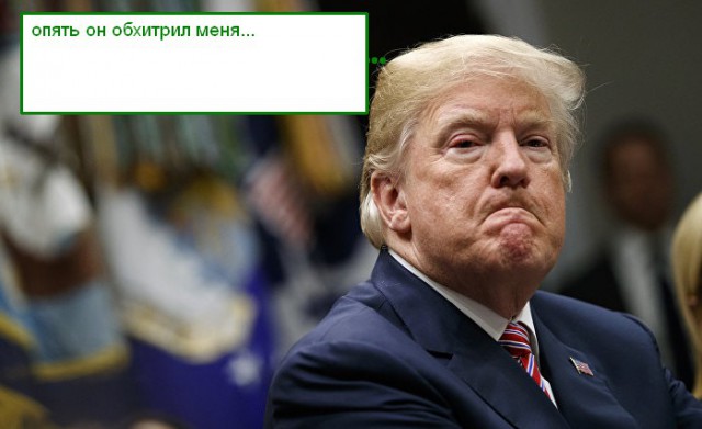 Владимир Путин 18 апреля подписал закон, который позволяет россиянам свободно собирать валежник в лесу
