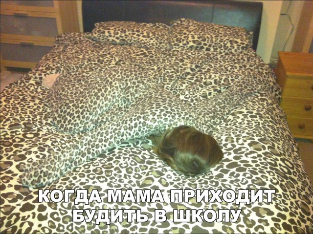 Нестандартный юмор
