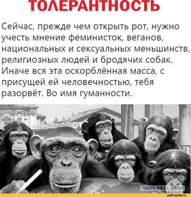 Во Владимире собаки насмерть загрызли молодого мужчину