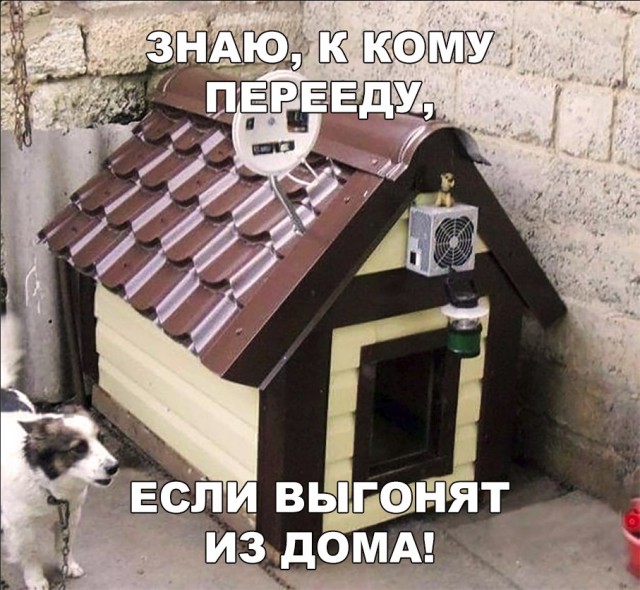 Нестандартный юмор
