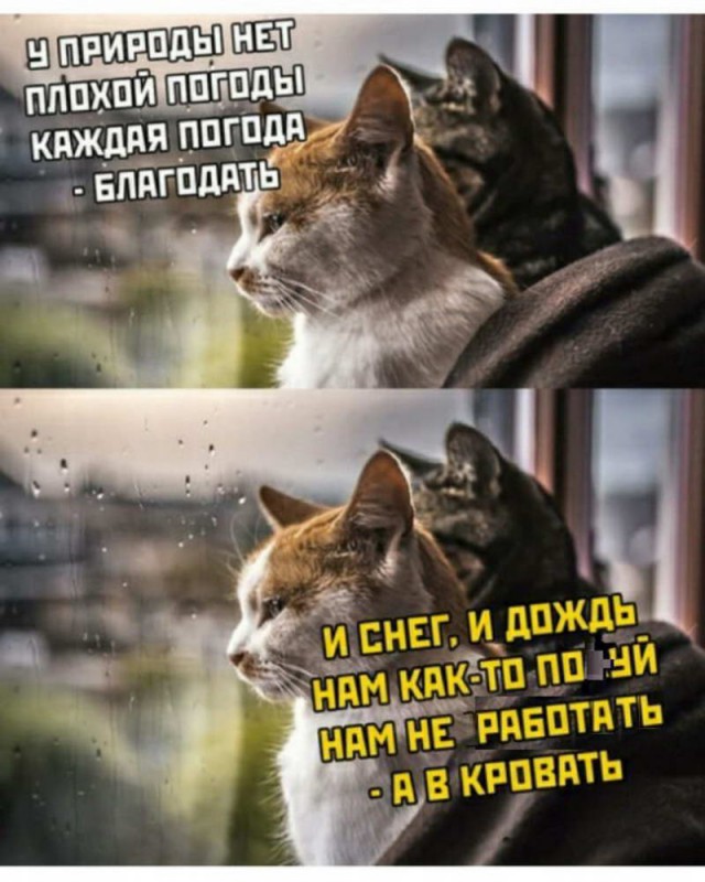 Глоток чёрного воздуха