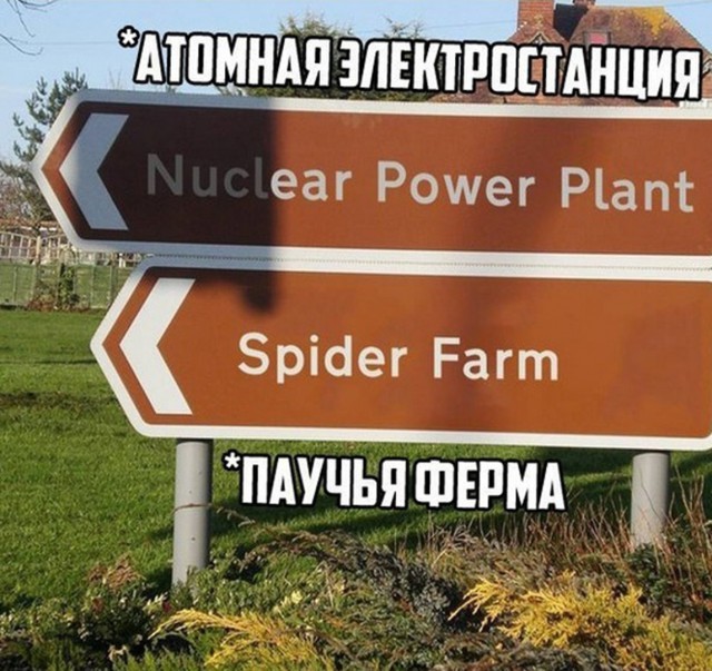 Немного картинок с надписями и без - 11