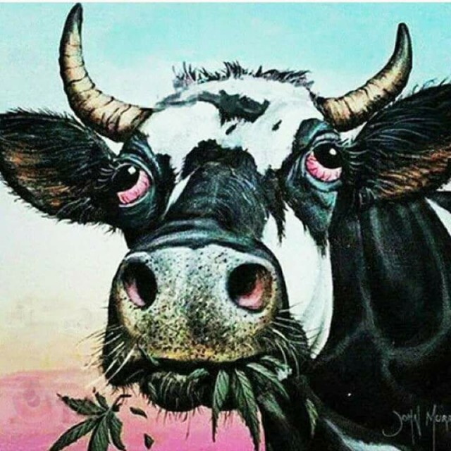 Crazy Art