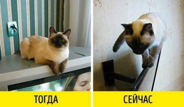 Чуток картинок на 10.01.2020