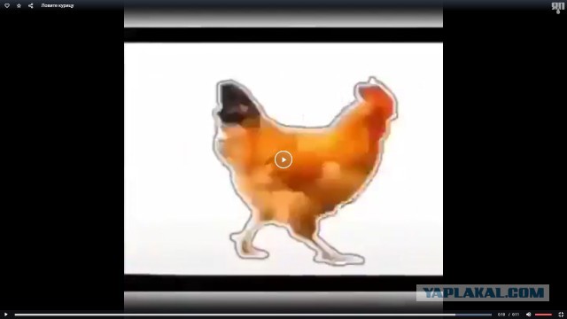Кому нечем заняться: ловите курицу, нажимая на паузу