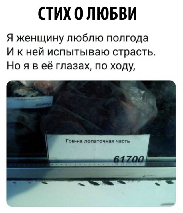 Свинегрет: картинки, надписи и прочее на 01.04 или №20