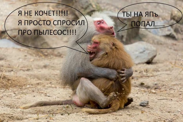 Мужики, помогите не уронить честь рукодела перед женой