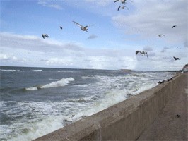 Отжабьте меня пожалуйста