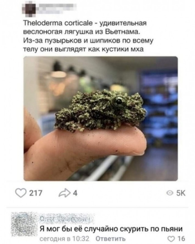 Картинки разнообразные. На злобу дня и на доброту (12.08)