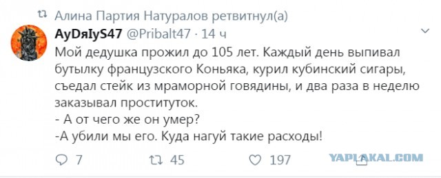 Бредзона 15.10.2020