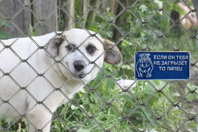 Фотожаба: Я Табличка