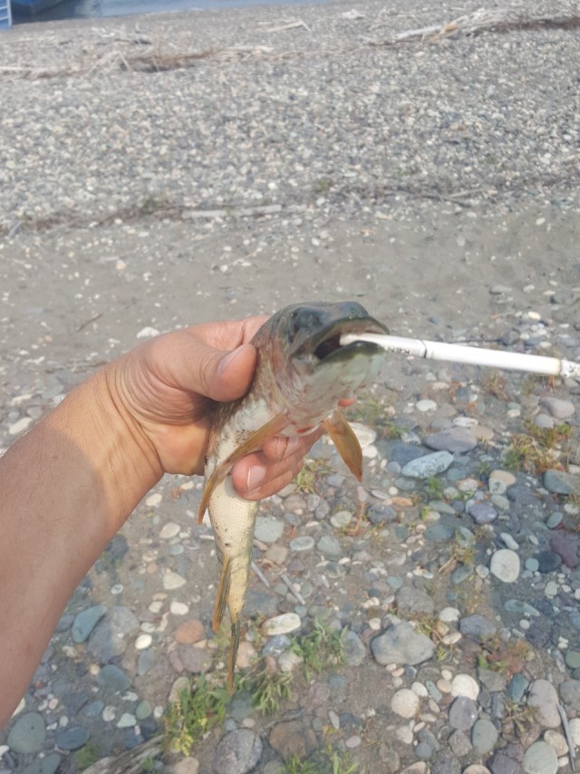 Удачный кадр. Фотопост