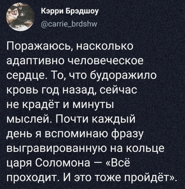 Дебилизмы из сети 8.02.21