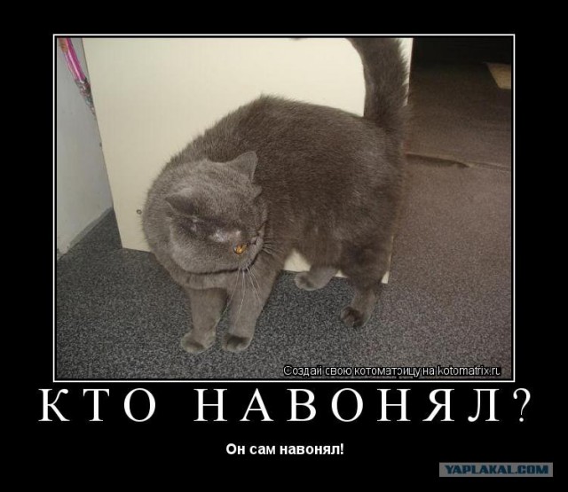 Наглый угон при сотрудниках ДПС в Челябинске.