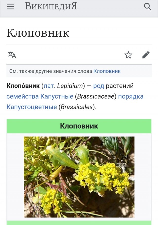 А может вы не знали...