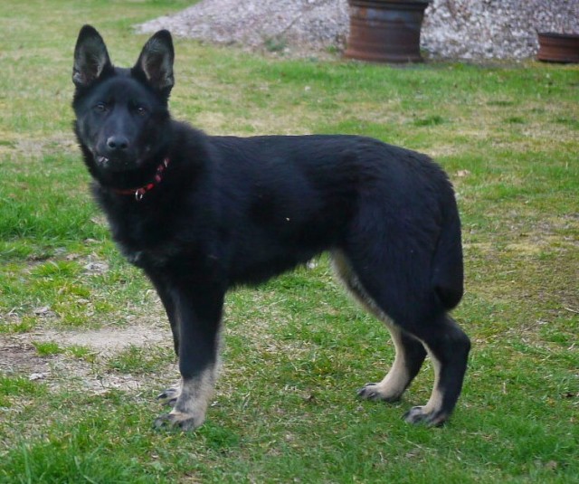 Когда то я была меньше кота, а теперь мы друзья