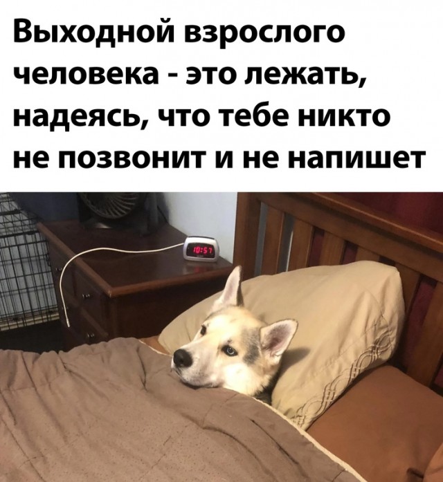 15982814.jpg