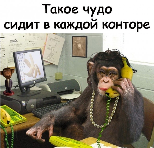 Так себе картинки 16.02.22