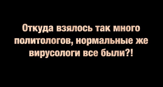 Нафиг эту войну, ковид и т.п. Посмотрите лучше на моего кота!