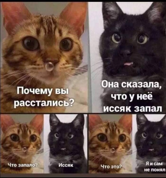 Баянисто-небаянистый юмор 7.04.22