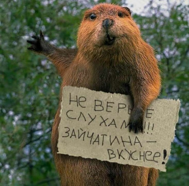Вечера на хуторе или меркантильные женщины.