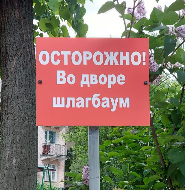 Так себе картинки 29.05.23