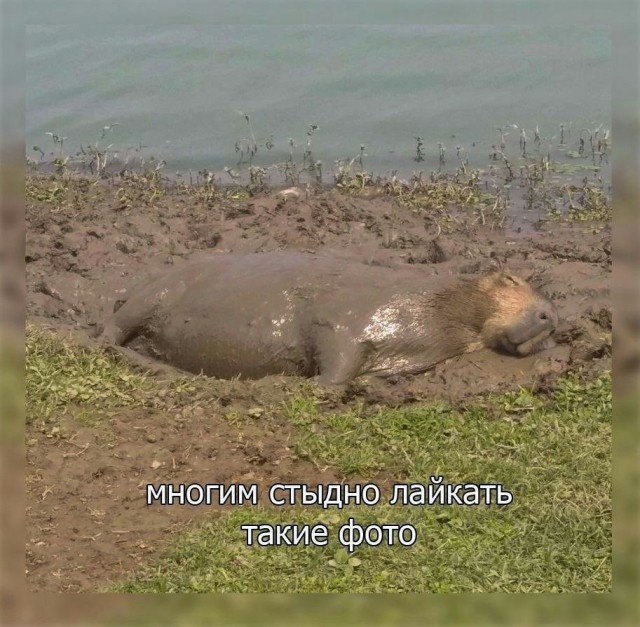 Всего понемногу. Пятничный
