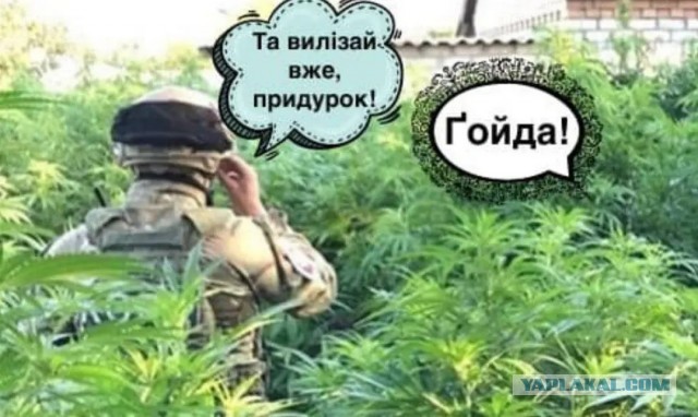 В Белгороде окна школ закрывают мешками с песком