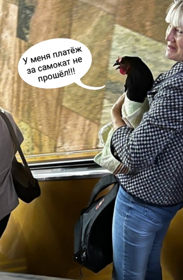 Модники из нашего метро
