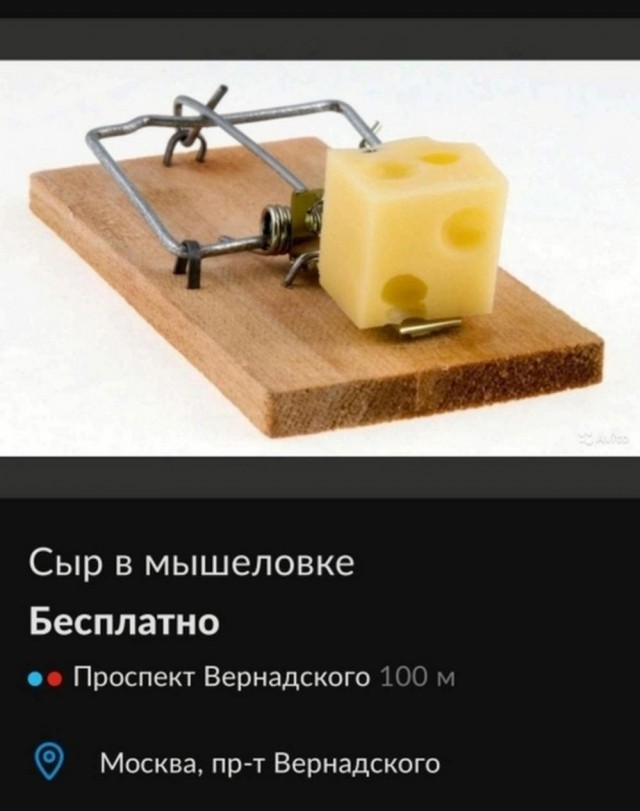 Всего понемногу. От 10.11.23