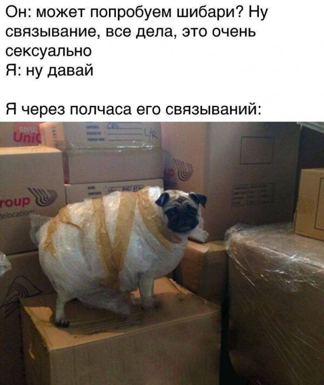 Мемчики и картинки для настроения и подумать