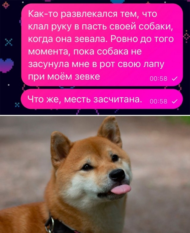 Так себе картинки 17.02.24