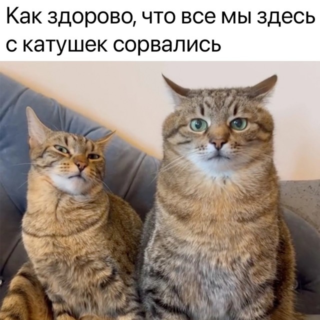 Всех с понедельником