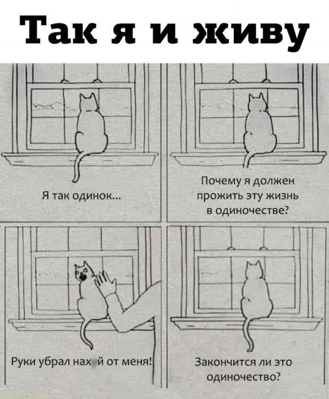 Завалялось тут случайно немного забавных картинок