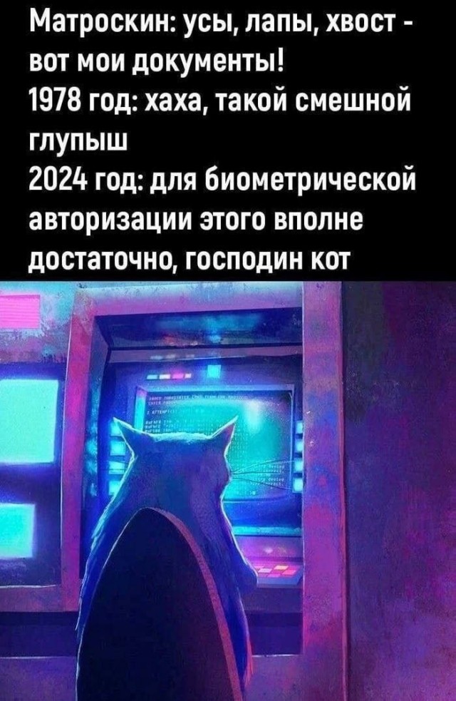 Так себе картинки 25.11.24