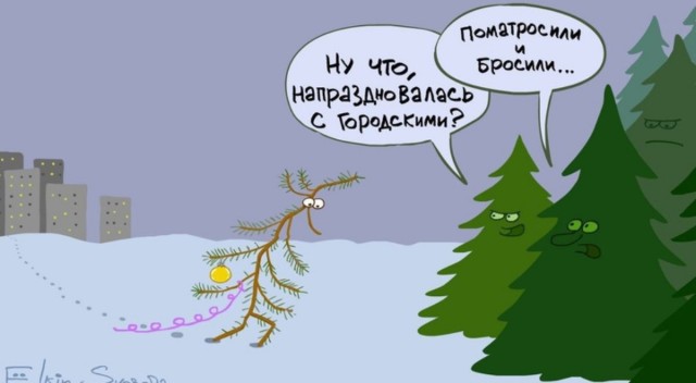 Немного забавных картинок от 22.12.24