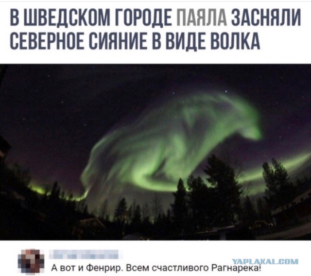 Так себе картинки 31.12.24