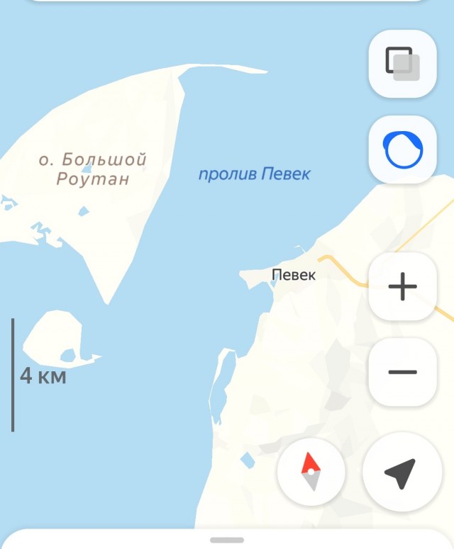 Кит в Балтийском море в Калинградской области