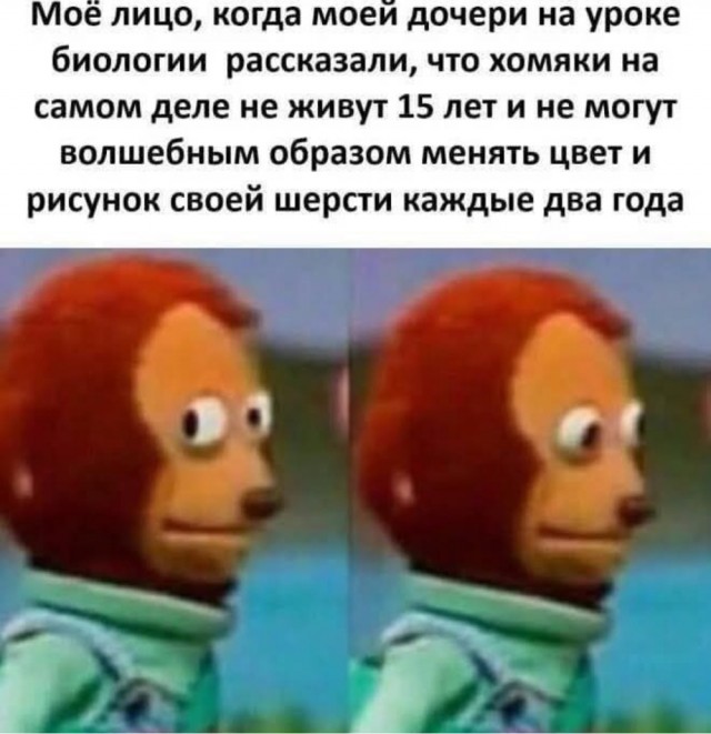 Картинки для деградации 23 (разной степени свежести)