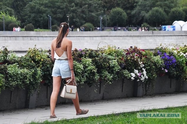 Синоптик Тишковец пообещал россиянам затяжное бабье лето.