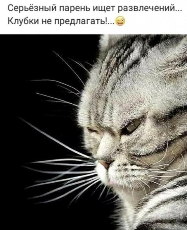 Прикольные и просто красивые картинки 19.09.2025